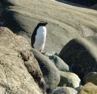 Milford Sound - Rundeise Neuseeland - Südinsel