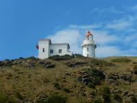 Dunedin - Otago Halbinsel - Rundeise Neuseeland - Südinsel