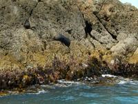 Kaikoura - Rundeise Neuseeland - Südinsel