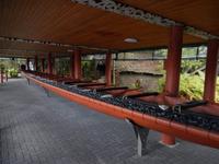 Rotorua - Rundeise Neuseeland - Nordinsel