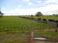 Rundeise Neuseeland - Nordinsel