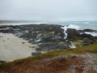 90 Miles Beach - Rundeise Neuseeland - Nordinsel