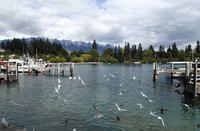 Wellington - Rundeise Neuseeland - Nordinsel