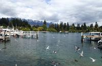 Wellington - Rundeise Neuseeland - Nordinsel