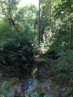 Parque Guanayara