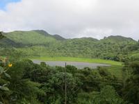 IMG_3708
