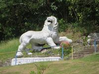 IMG_3783