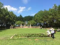 205 Linh Phuoc-Pagode