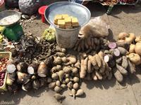 782 Maniok & Kartoffelsorten