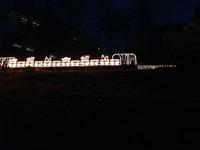 Lichterfülle beim Triberger Weihnachtszauber 