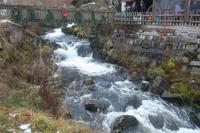 Am Rande der Triberger Wasserfälle