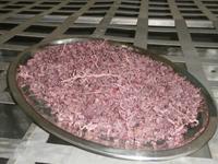 Besuch in der Grappa Distilleria Marzadro