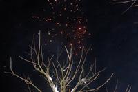 Silvesterfeier im Hotel Happinger Hof