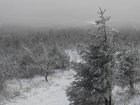 auf dem Fichtelberg ...