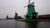 Windmühlen in Zaanse Schans