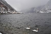 Hallstatt am Hallstätter See, Salzkammergut, Oberösterreich