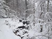 Wanderung zur Niederalm