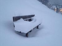 Wanderung zur Niederalm