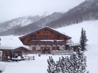 Wanderung zur Griesner Alm im Kaiserbachtal am Wilden Kaiser, Tirol, Österreich