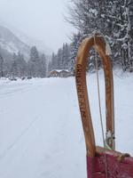 Wanderung zur Griesner Alm im Kaiserbachtal am Wilden Kaiser, Tirol, Österreich