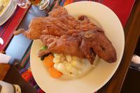 köstliches Meerschweinchen