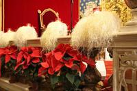 St. John's Co-Kathedrale in Valletta - Weihnachtsdeko 