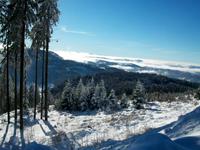 Blick von der Schwarzwald- Hochstraße