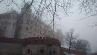 Das Wawelschloss im winterlichen Nebel