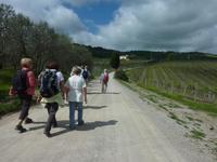 Wanderung in Greve