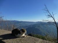 Hier kann man das Leben so richtig genießen!