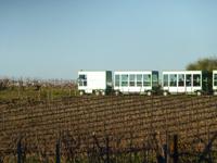 So durchfuhren wir das Erlebnisweingut