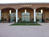 Besuch auf dem Weingut Torres