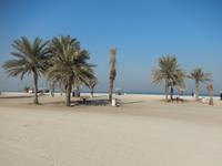 DSCN2380
