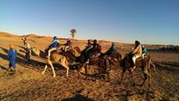 Dromedarritt bei Merzouga