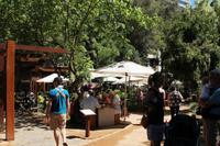 Kapstadt - Company`s Garden