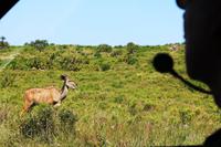 Badeausflug nach Cape Vidal