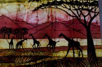 Unterwegs in Swaziland