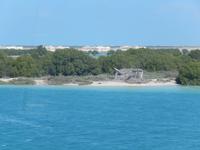 200 Abu Dhabi - Mangroven