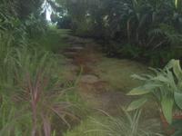 SAM_4961