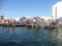 Anlegestation am Creek