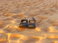 Stillleben in der Wüste