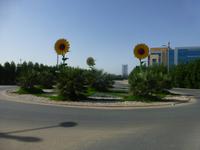 Miracle Garden Dubai