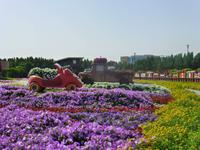 Miracle Garden Dubai