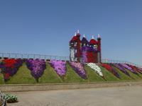 Miracle Garden Dubai