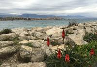 030Fahrt nach Cannes