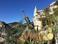 235Jardin Exotique von Èze