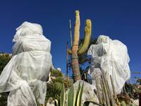 247Manche brauchen einen Wintermantel