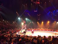 405Troupe EKK-Pferdeakrobaten aus Russland(Silber)