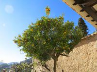 Im Kloster von Valldemossa