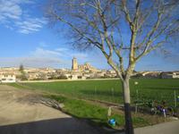 Sineu